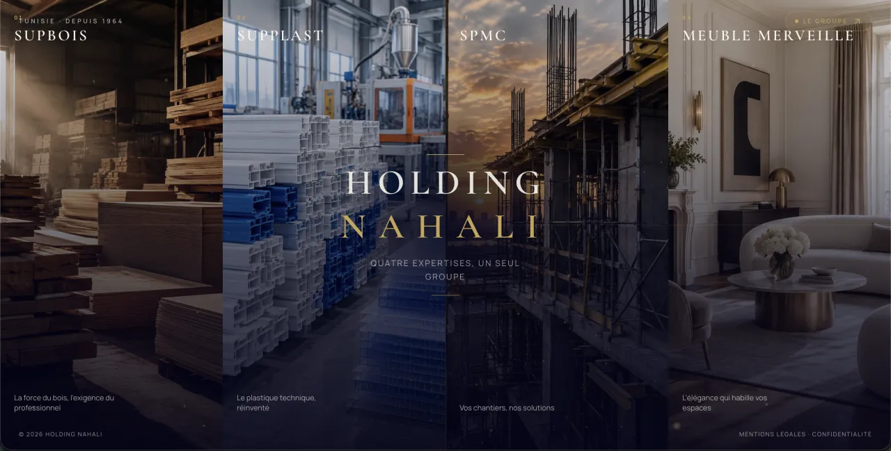 Holding Nahali website preview
